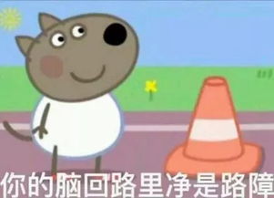 奚梦瑶成功了