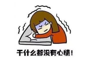 减肥节食no节食减肥最伤身