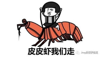 从现在开始表情包皮皮虾