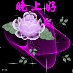 晚安微信表情包晚安