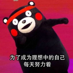 适合你的,就是最好的