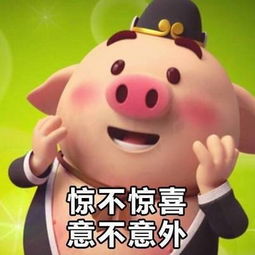 叹气表情包猪猪