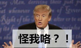当场看特朗普被默克尔狂怼,女儿伊万卡的表情