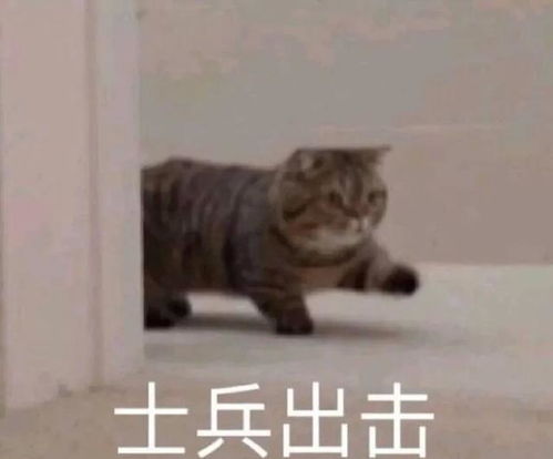 幽默笑话父亲乐于助人,在深夜冒着大雨帮助王寡妇修房顶