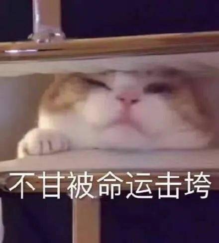 让男人们崩溃的那个女人找到了三个大汉集体发呆我笑疯了哈哈哈哈哈哈