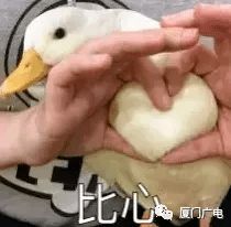 比心表情包完整版get