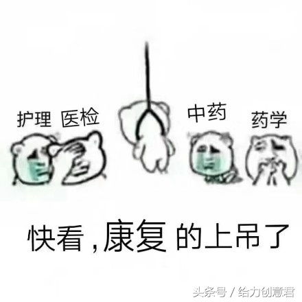 听说每个专业都有自己的专属表情包超搞笑,有你的专业吗