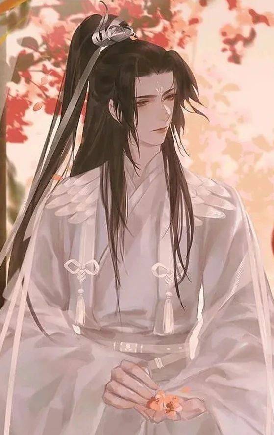 二哈和他的白猫师尊唯美古风壁纸