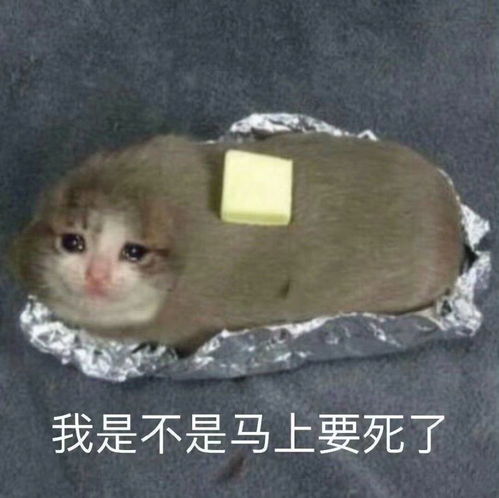 让人眼前一亮的朋友圈沙雕文案