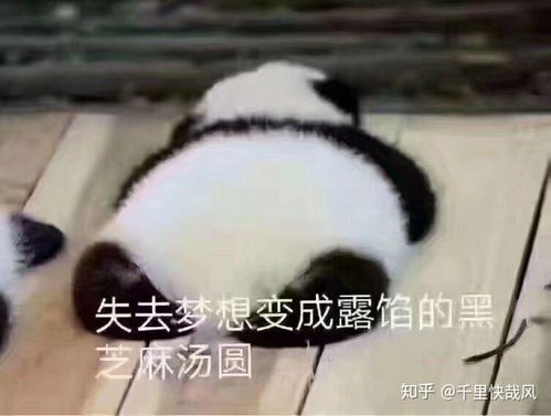 有没有斗图表情包,各位来交流一下华山论剑,请大家各显神通