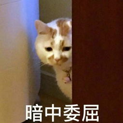 最新放假通知还有三条重要消息告诉你,最后一个太扎心