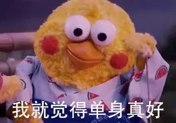 划船表情包小黄鸡