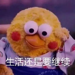 川普和默克尔不在一个频率你的笑话我听不懂,你的手我更不想握好吗