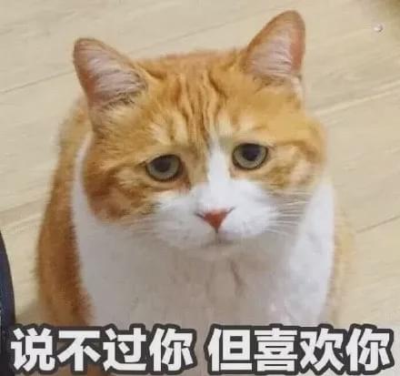 亚洲的顶级神颜,颠倒众生,富可敌国,栽在丑男身上