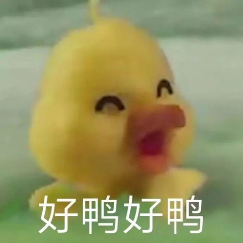妹子投稿自己男友的温柔小细节,温暖善良永远是加分项,我酸了