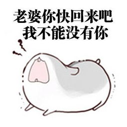给女朋友道歉的正确方式,这组表情包请转给有需要的人