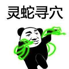 会武功表情包