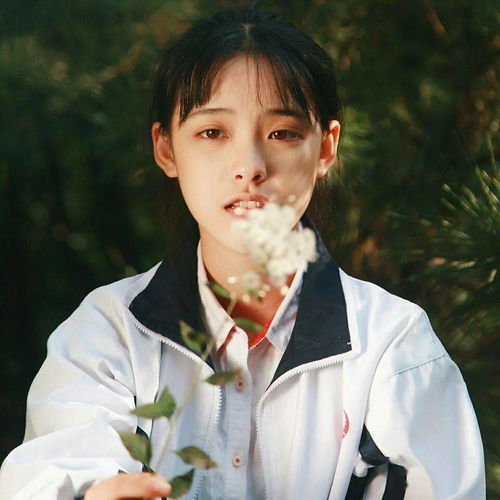 小清新女头