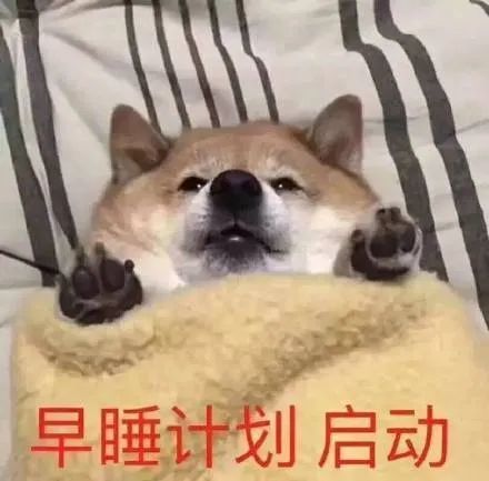 表情包瞧把你能的,书背完了吗