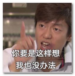 磕头照片表情包