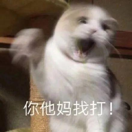 东星耀扬表情包动图沙雕