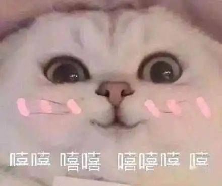 大雪至,愿你心中暖,驱走冬日寒