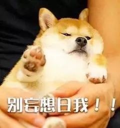 表情包请给我一顶圣诞帽微信官方