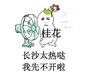 最热九月桂花延迟开网友长沙太热她不想开