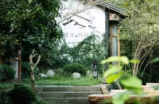 跟和尚做邻居,与西湖抢风景,70后文艺大叔把床藏在山中,睡遍了四季