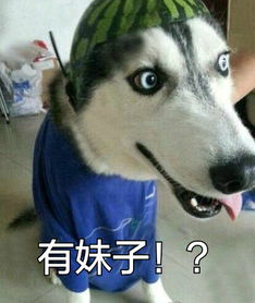 单身狗表情包伐开心,要抱抱