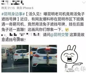 雷死了老司机竟用它遮挡号牌交警蜀黍都看不下去...