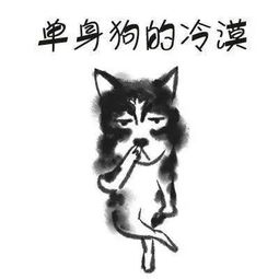 天啦噜这里有个机器人想和你谈恋爱