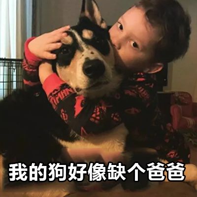 撩汉表情包来了,百试百灵快抱走
