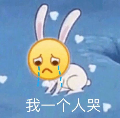 小布说天气等风停,等雨来