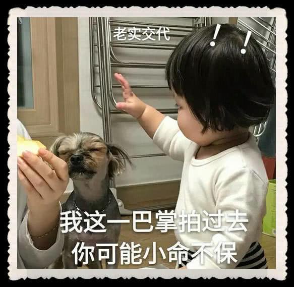 敲厉害又傲娇的表情包接受亲亲,爱生活爱老婆,不接受反驳