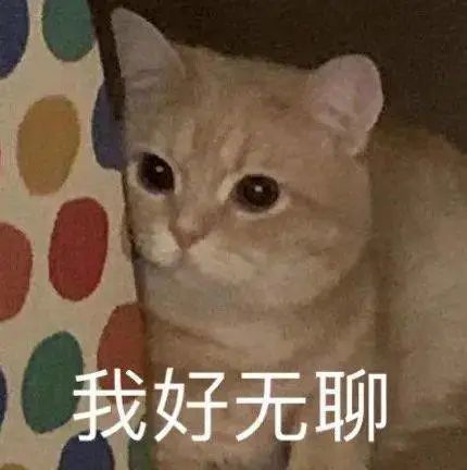 疯狂的动物表情包沙雕
