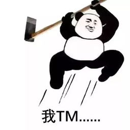 表情包,聊天斗图再也不愁了