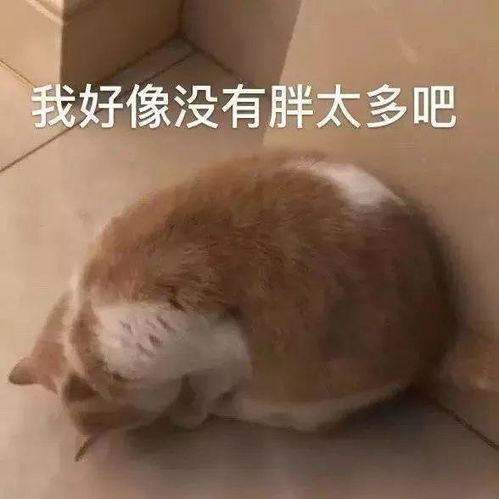12星座减肥秘籍大公开,ta竟然谈恋爱就能瘦