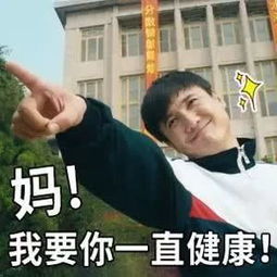 沈腾吹彩虹屁表情包我随我妈,貌美如花