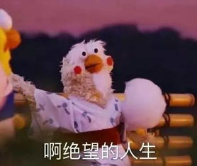 陶喆孤绳攀爬绝望如姑父,荒野雪地还与贝尔尬吉他这波6666666