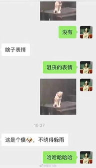 giao哥成了我新男友爸妈对表情包的理解让人崩溃哈哈哈
