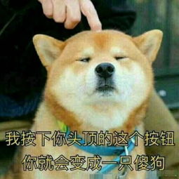 斗图表情包精选20170804