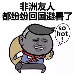 领导出差了,我偷偷翻出了珍藏许久的表情包