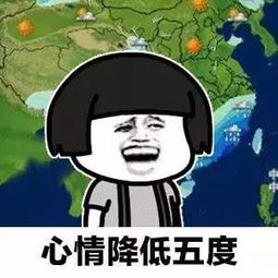 冷冷冷天气骤变雨雨雨将持续到...