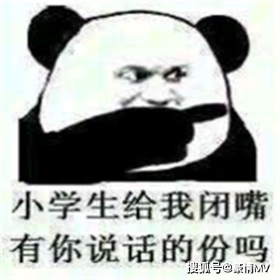 热门的经典微信表情图片2022群聊斗图表情包大全