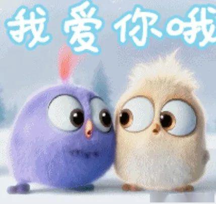 遂宁人520登记结婚这些信息你需要了解