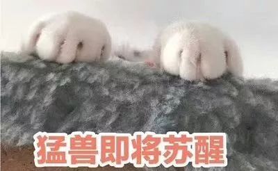 做表情包的软件推荐睡懒觉