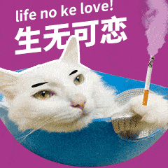 聊天图片
