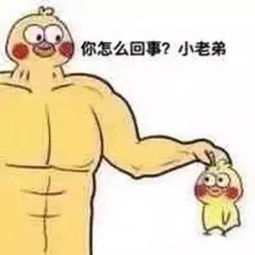 崩坏三圣诞狂想曲部分玩梗介绍一