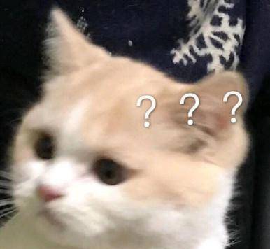 你是我的答案原来郭晓东就是用这一招把吴谨言吃得死死的